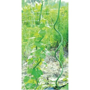 Kovová pogumovaná zelená podpora rastlín v tvare špirály 21040