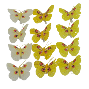Set dvanástich motýľov na štipcoch v krabičke v žltom farebnom prevedení 8 cm 39429