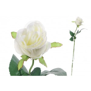 Ruža krémová 52 cm 31504