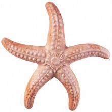 Terakotová dekorácia morskej hviezdice 17 cm 30760