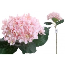 Umelá dekorácia hortenzie - Hydrangea v ružovom farebnom ...