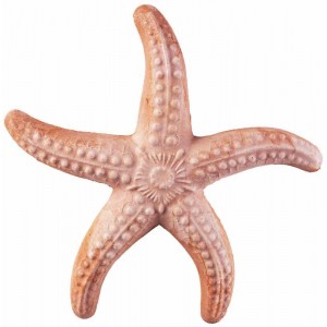 Terakotová dekorácia morskej hviezdice 17 cm 30760