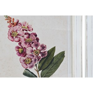 Drevený obraz s kvetinovou potlačou a s prírodným bielym dreveným rámom v šiestich variantoch 50 x 2,5 x 70 cm 37001