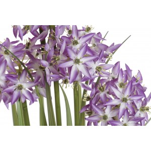Fialové kvety v kovovom kvetináči 50x50x115 cm 32806