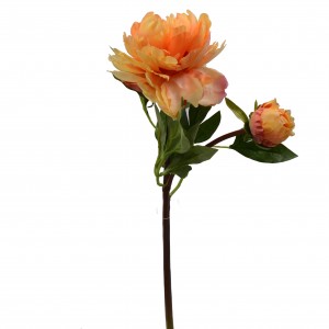Kvet pivonky a púčiku v oranžovej farbe s lístkami na dlhej stonke 35958