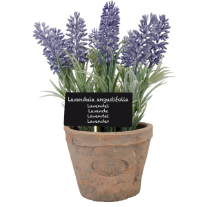 Levanduľa v terakotovom kvetináči s tabuľkou s názvom bylinky v latinčine Esschert Design 35051