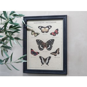 Obraz motýle v čiernom rustikálnom ráme Chic Antique 34203