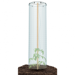 Set na pestovanie paradajok Tomato Grower Cap 38,5 x 5,1 cm 39300