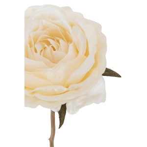 Umelá dekorácia ruže v krémovom farebnom prevedení na dlhej zlatej stonke 8 x 8 x 56 cm Jolipa 42346